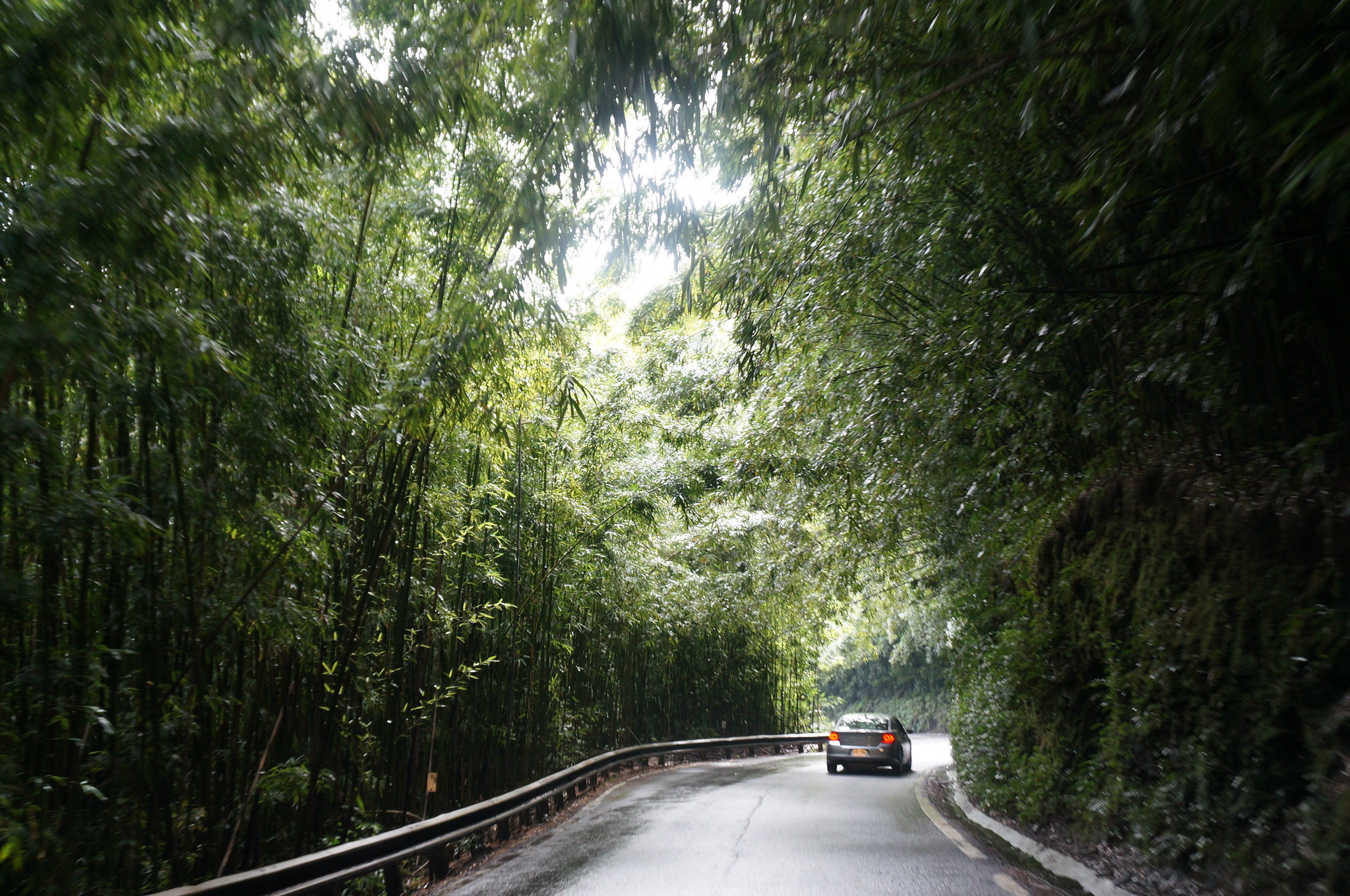 22458700397_3e0c1be7e3_k