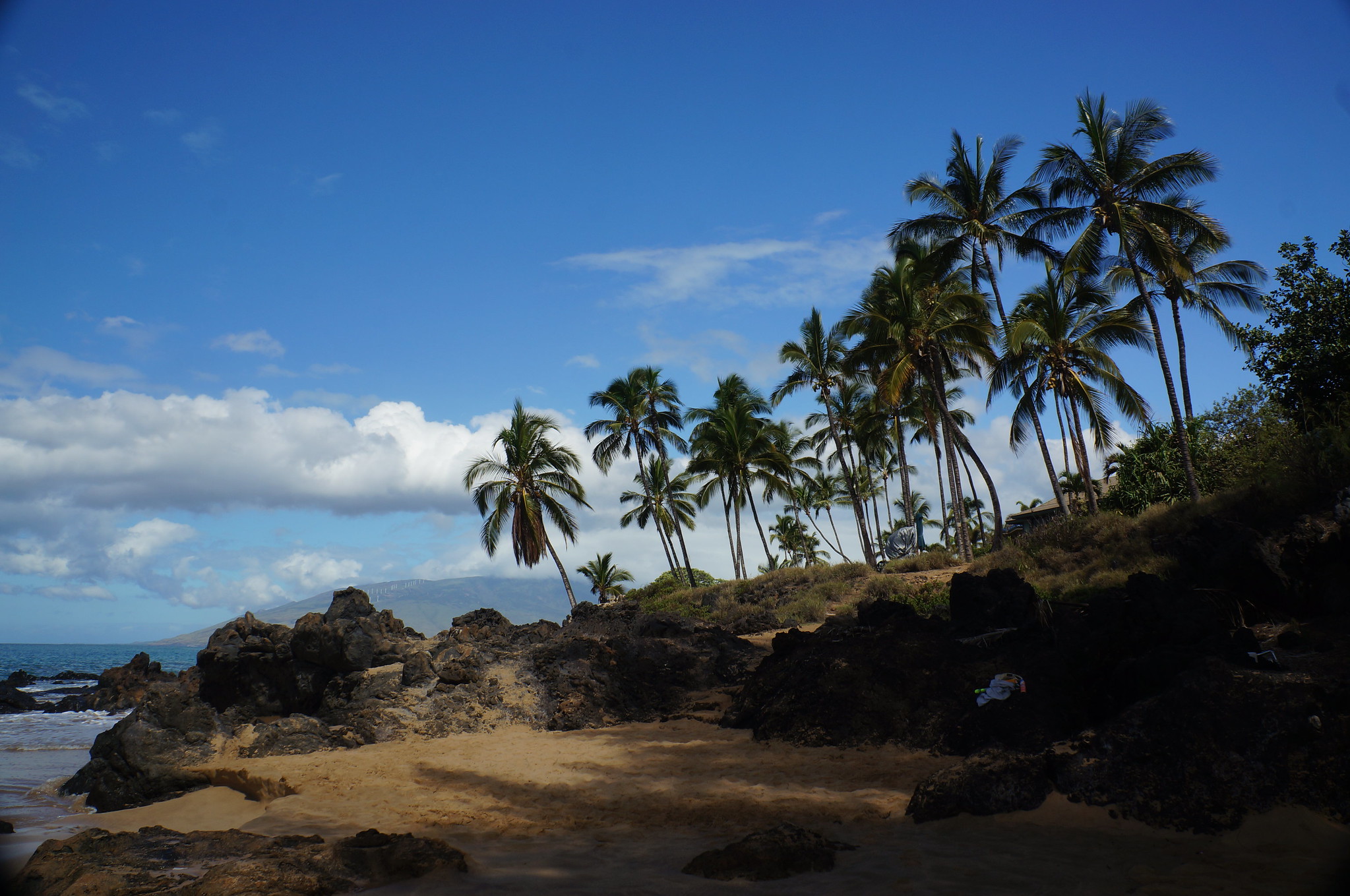 22462755239_d23aefab55_k