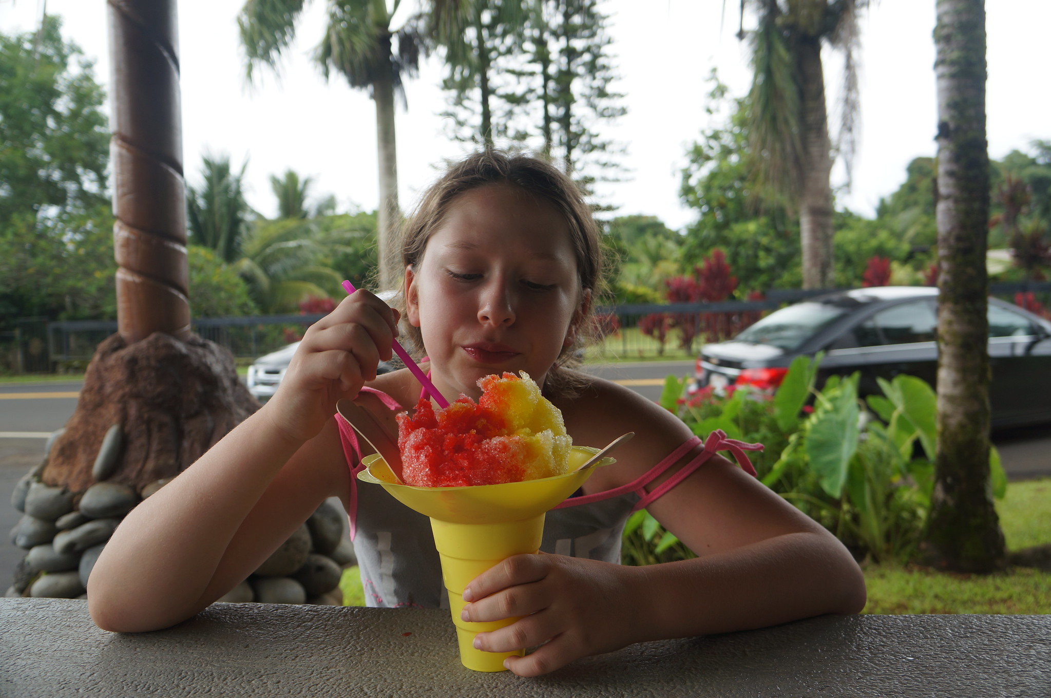 22688140670_2d02d9cd5e_k