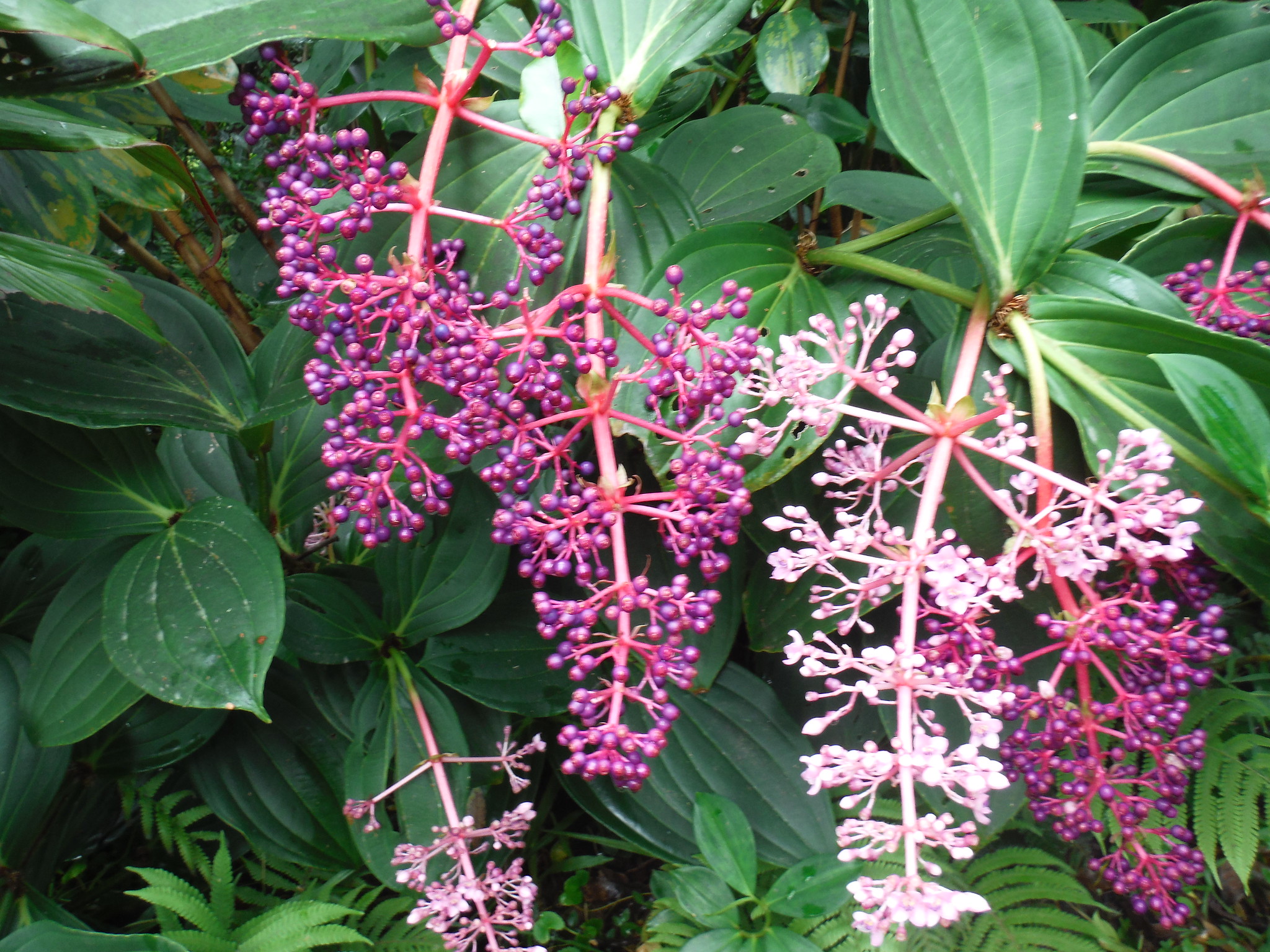 22688890260_9550d27b97_k