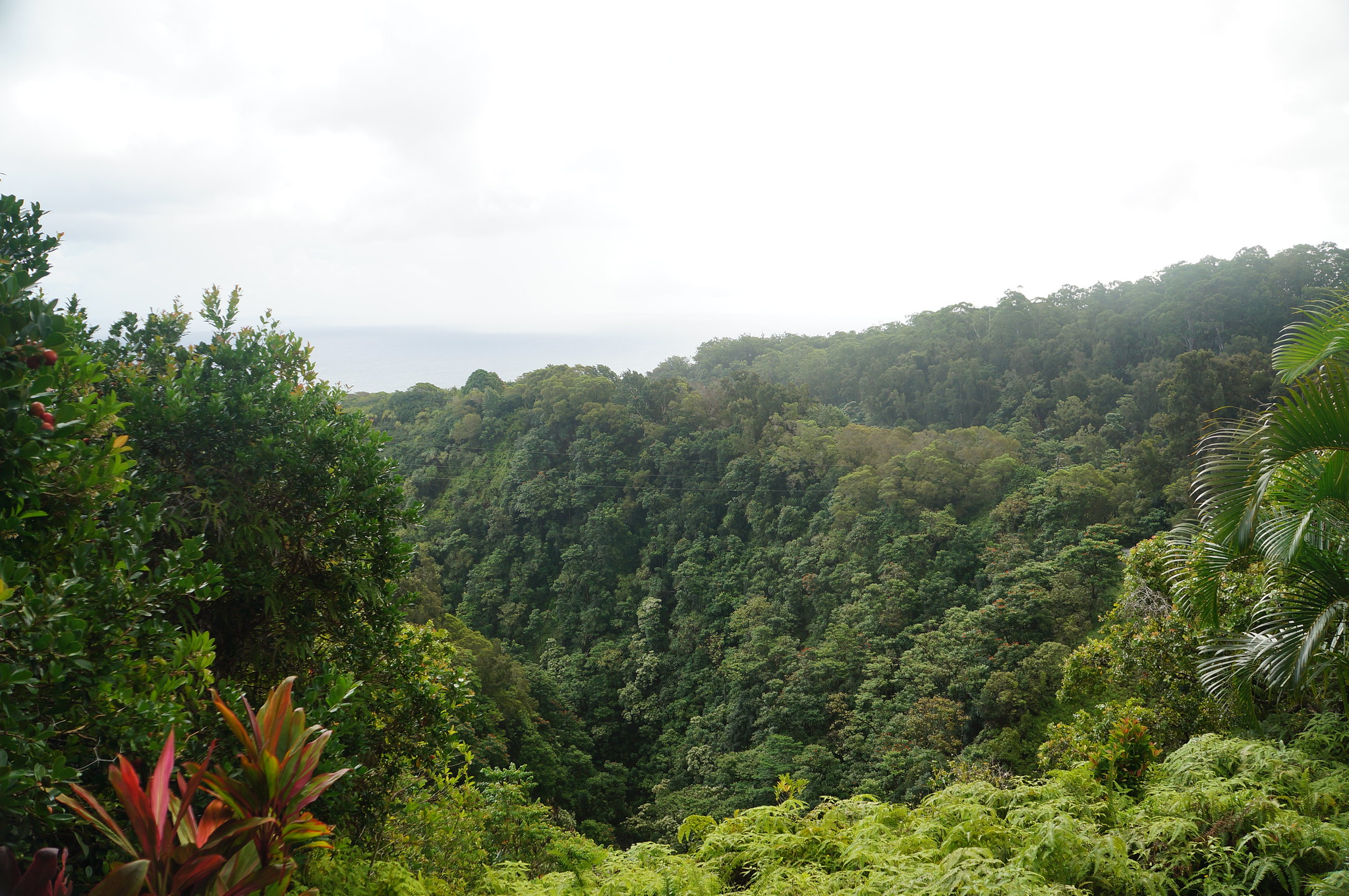 22863108982_63f5d30c55_k