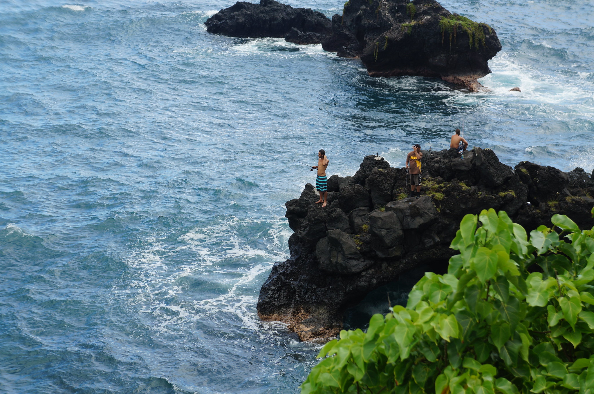 22875741005_9d774b0079_k