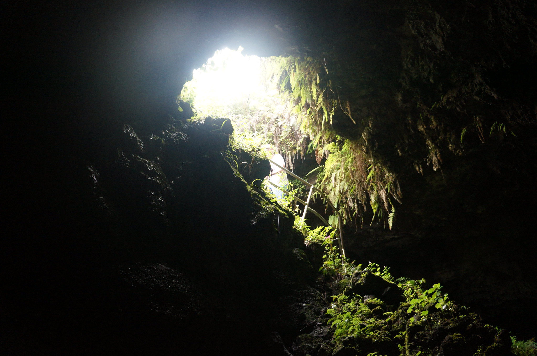 22875893425_d92f9f472d_k