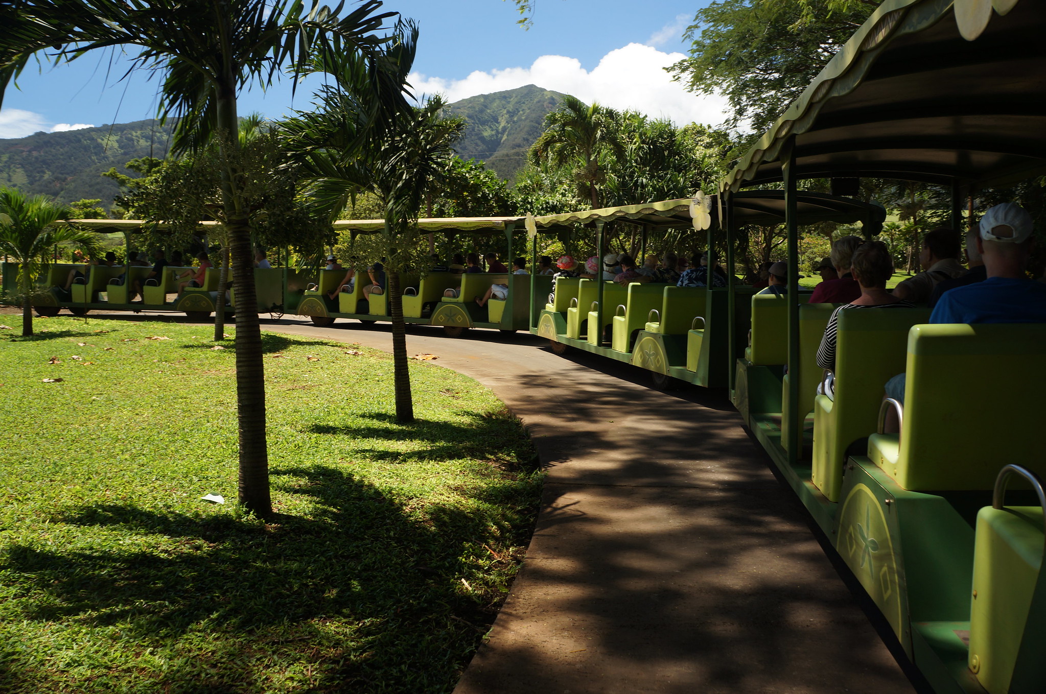 22875987826_3f17ce2f11_k