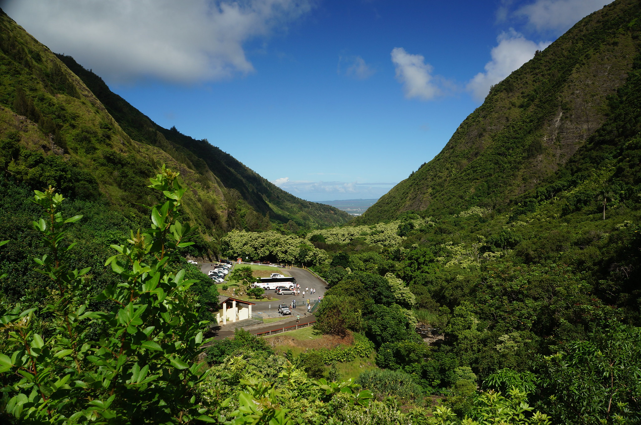 22903150585_b0ec5dddf7_k