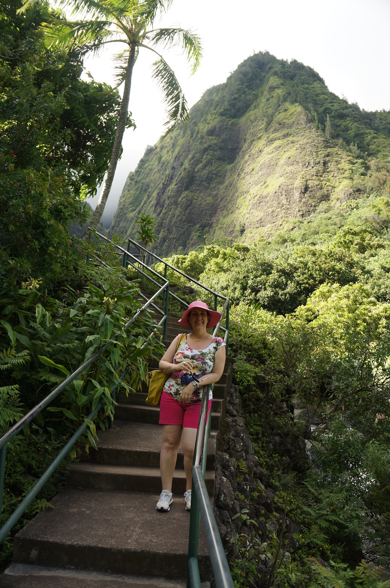 22914136971_c531407f2c_k